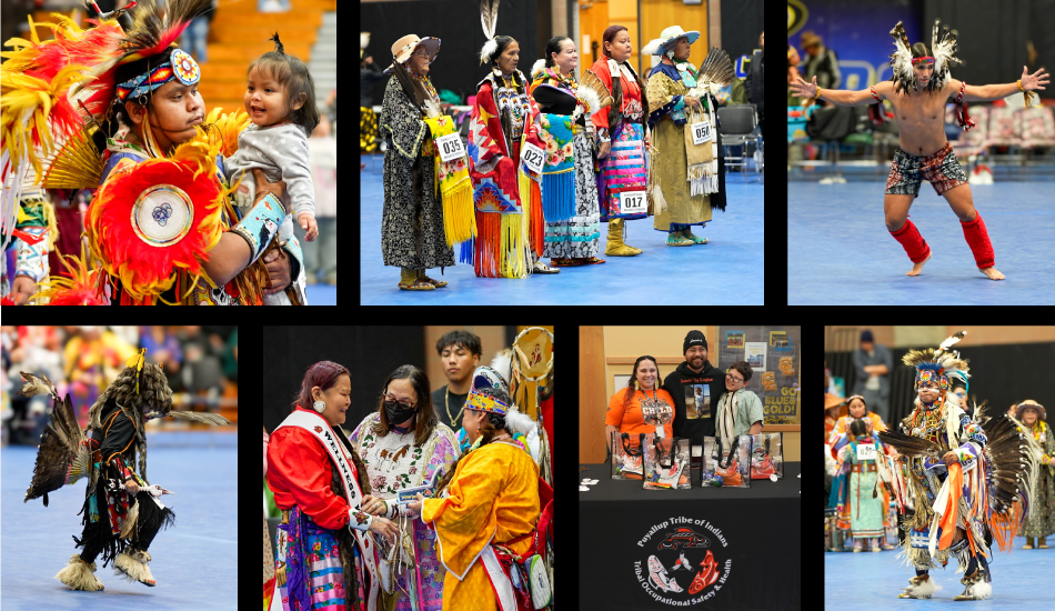 Wellness Powwow photos