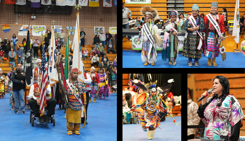 Wellness Powwow featured images